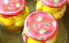 marinovannye pomidory dno