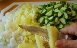 tushenaya kurica luk