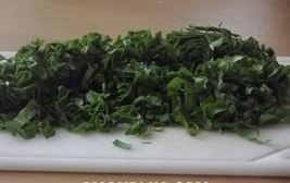 zelenyj borsh shavel